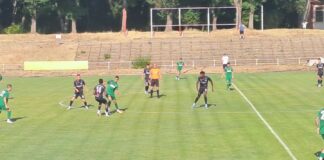 chernomoretz beroe (15)