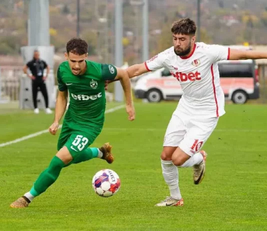 dimiatr gospodinov