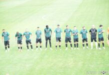 dobrudja chernomoretz (4)