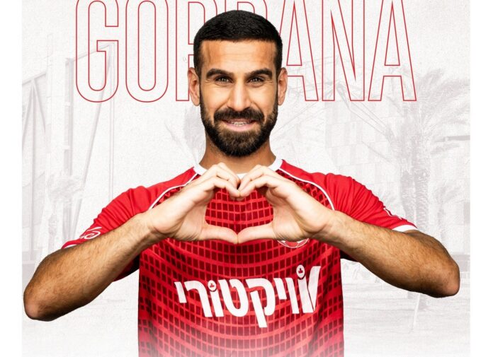 gordana gordana