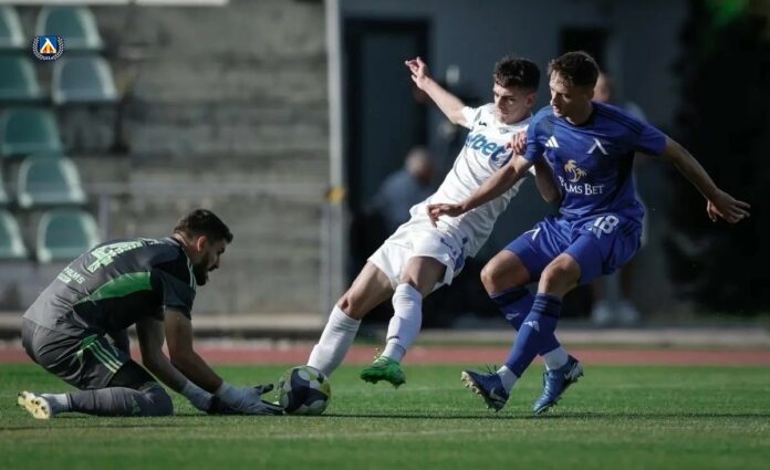 levski spartak pleven matei markovich gashper tardin levski spartak pleven matei markovich gashper tardin