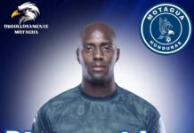 wilmarjordan