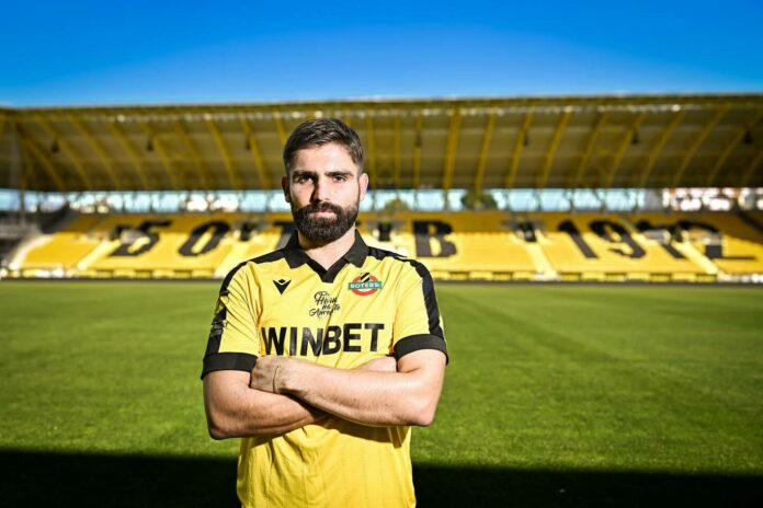 Nikola Soldo Nikola Soldo