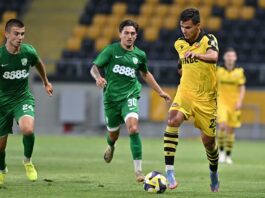botev plovdiv beroe nikola iliev