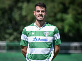 david migel delfino telesh