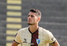 david talesh