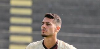 david talesh