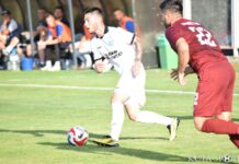 fratriq chernomoretz (31)