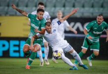 ludogorets dinamo minsk