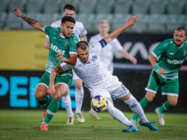 ludogorets dinamo minsk