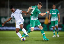 ludogorets dinamo minsk kaloch