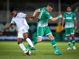 ludogorets dinamo minsk kaloch