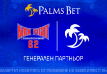 maxfight palmsbet