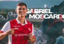 moscardo