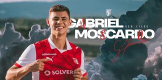 moscardo