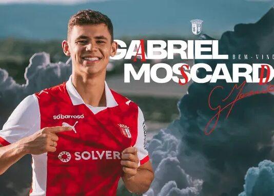 moscardo