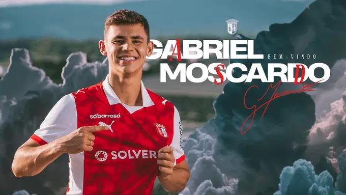 moscardo