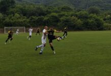 sportist svoge
