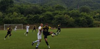 sportist svoge