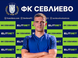 stelian dobrev