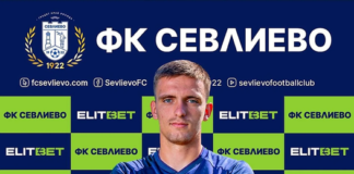 stelian dobrev