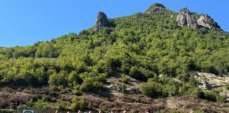 534434702 122253480620217943 5949839508410888875 n