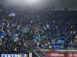 levski fenove alkmaar