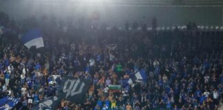 levski fenove alkmaar