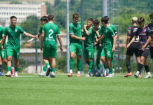 ludogorets u17
