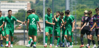 ludogorets u17
