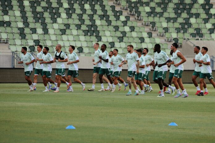 makabi hayfa makabi hayfa