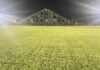 oborishte stadion