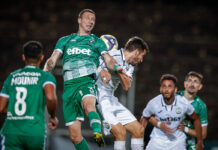 slaviq ludogorets anton nedqlkov