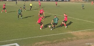 viber izobrazhenie 2025 08 02 19 12 41 945