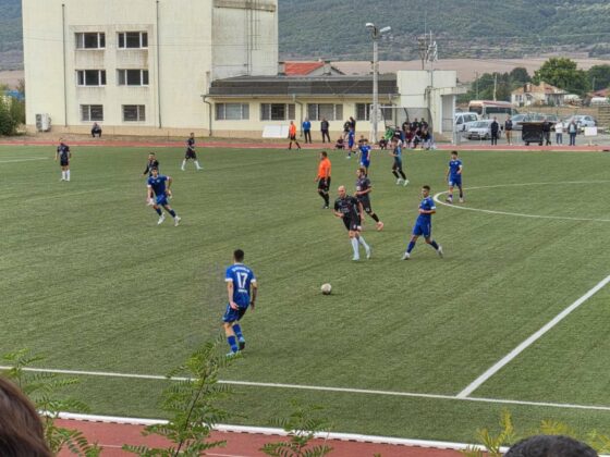 Chernomorec dubal 5