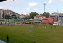 chernomorec dubal