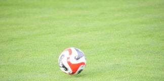 chernomoretz belasica (27)