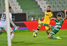ludogorets botev plovdiv nikolai minkov