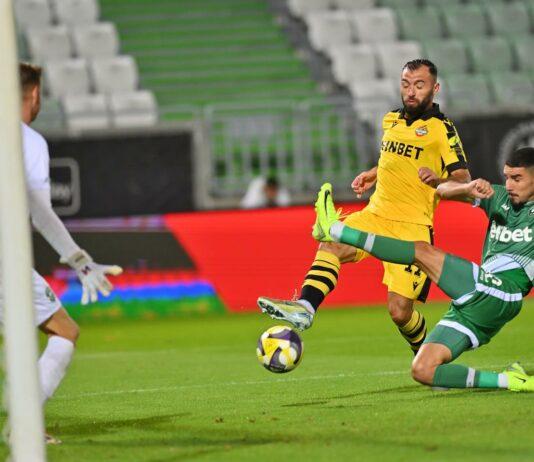 ludogorets botev plovdiv nikolai minkov