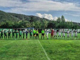 pirin dunav