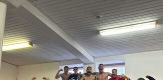 akademik svishtov
