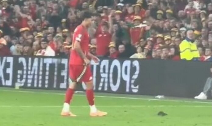bez ime1 bez ime1