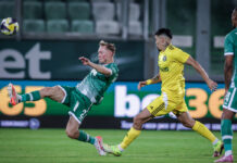 ludogorets dobrudja ioel anderson