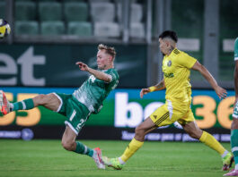 ludogorets dobrudja ioel anderson