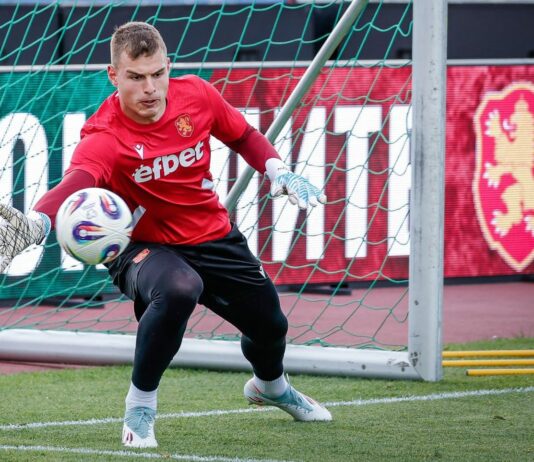 svetoslav vucov