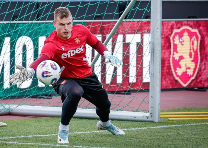 svetoslav vucov svetoslav vucov