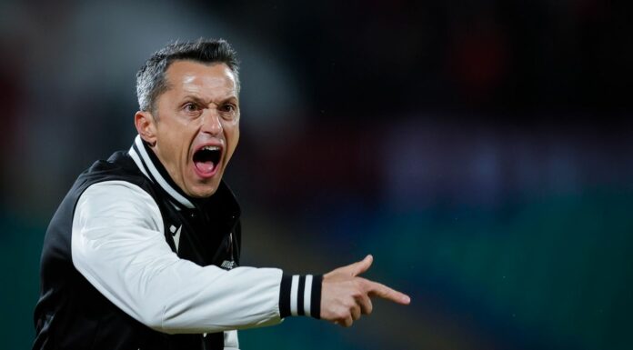 Пъзелът на Христо Янев започва да се нарежда hristo qnev