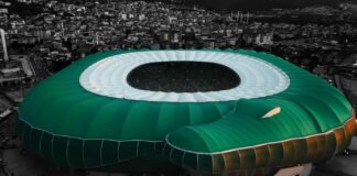 krokodila timsah arena