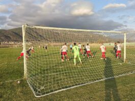 rozova dolina asenovets