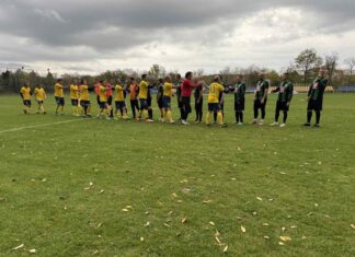 viber izobrazhenie 2025 11 19 17 24 25 105